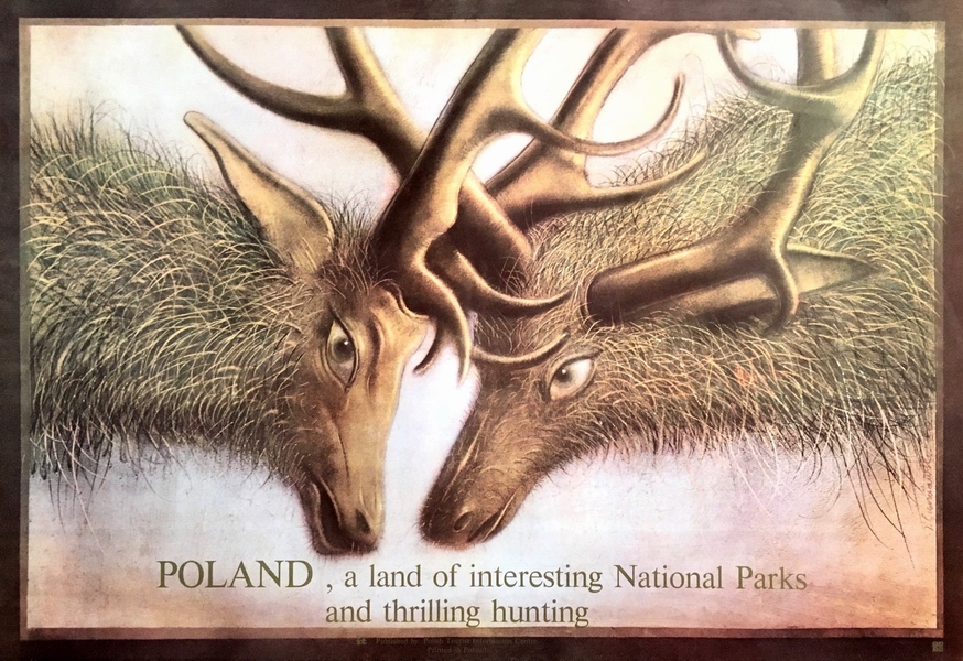 Poland, a land of interesting National Parks and thrilling hunting